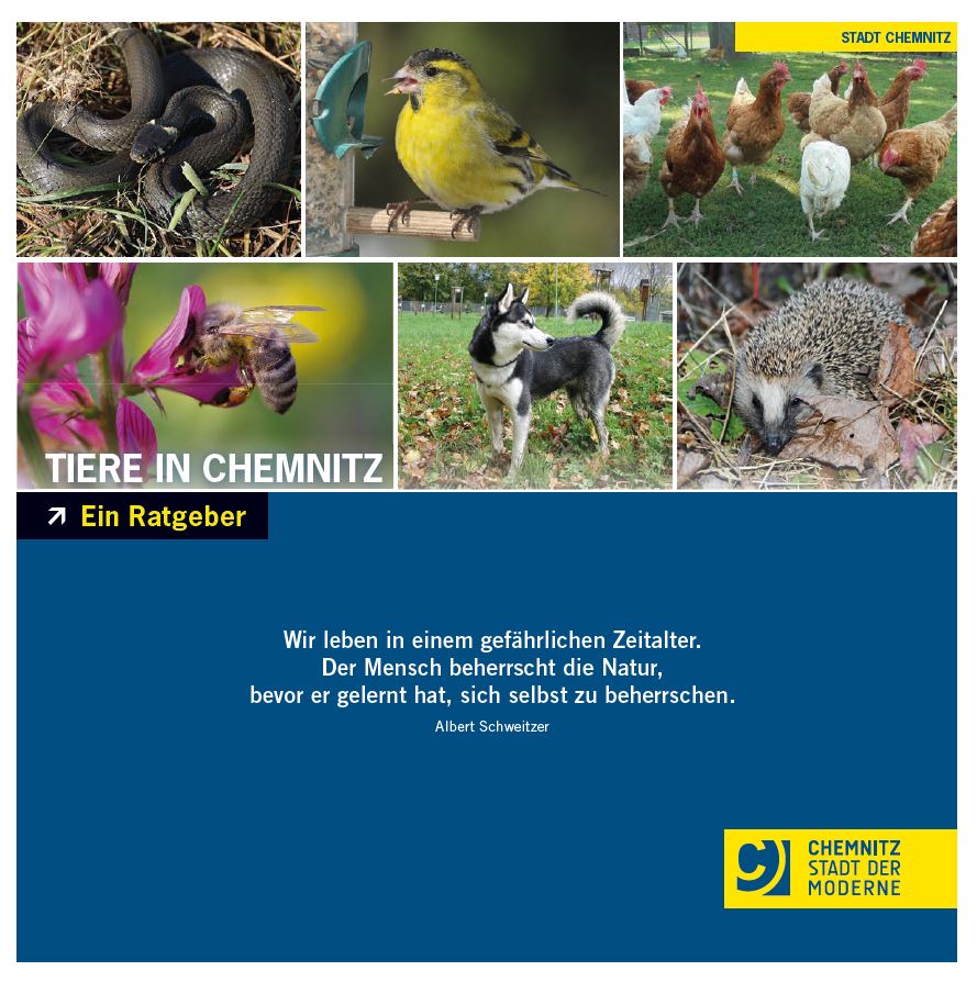 Titelbild der Broschüre "Tiere in Chemnitz"