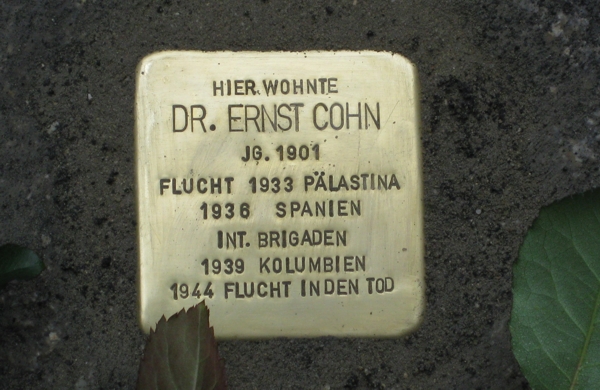 Stolperstein Dr. Cohn
