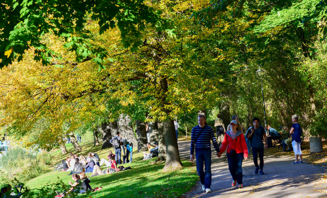 Parks, Wälder und öffentliche Grünflächen als »grüne Lungen« sind für das Stadtklima von Bedeutung. Auch tragen sie wesentlich zur Identifikation der Chemnitzer mit ihrer Stadt bei.