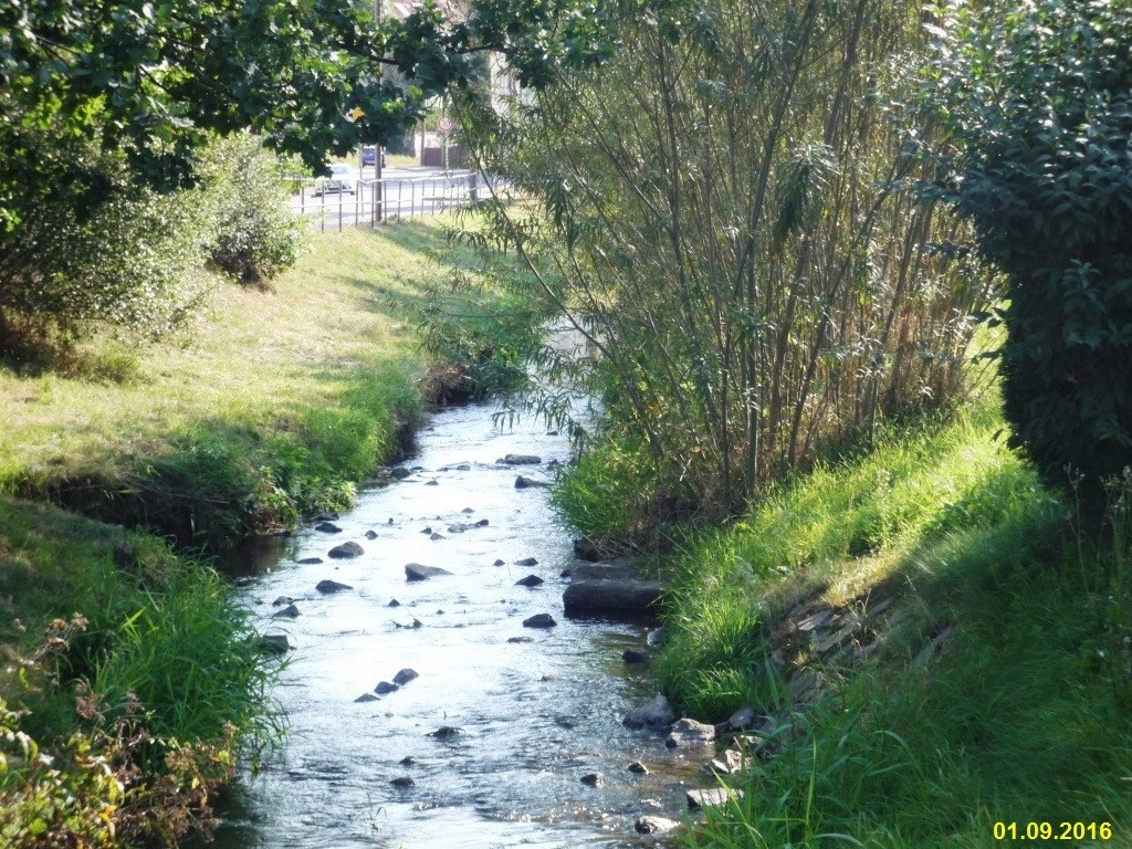 Fließgewässer in der Stadt Chemnitz