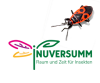Insektenvielfalt für Chemnitz